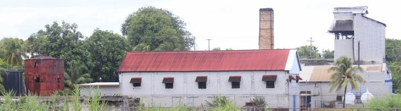 Close-up image of shiny copper stills used in the distillation process at St Vincent Distillers